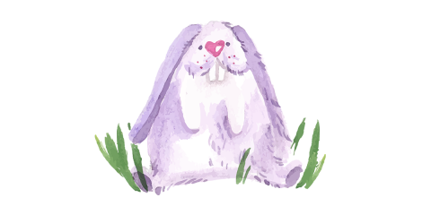 Love  Bunny