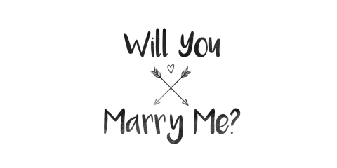 Will You Marry Me? Hipster T-Shirt